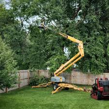 Lawn Grading and Leveling in Newbern, TN